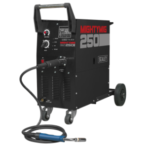 Professional Gas/Gasless MIG Welder with Euro Torch 250A